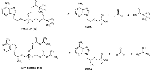 Trimethylacetic acid 99%